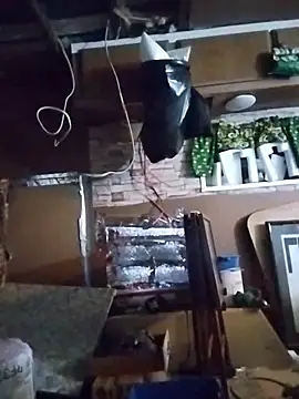 Biknight online show from 03-29-26, 01:27