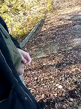 Snapshot of Pokaz2020 chatting on 10-27-25, 11:36 Pokaz2020 online show from 10-27-25, 11:36