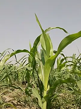 ThethunderPo online show from 03-02-26, 07:37