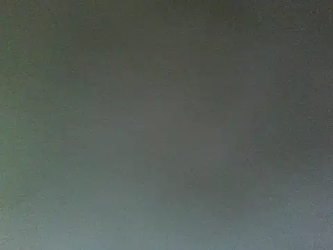 Snapshot of lonelycock33 chatting on 06-10-26, 09:25 lonelycock33 online show from 06-10-26, 09:25