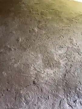 Bengali BULL1 online show from 10-31-25, 09:32