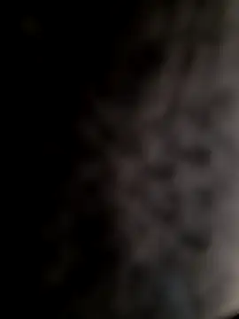 Snapshot of mogli444 chatting on 12-08-24, 01:03 mogli444 online show from 12-08-24, 01:03