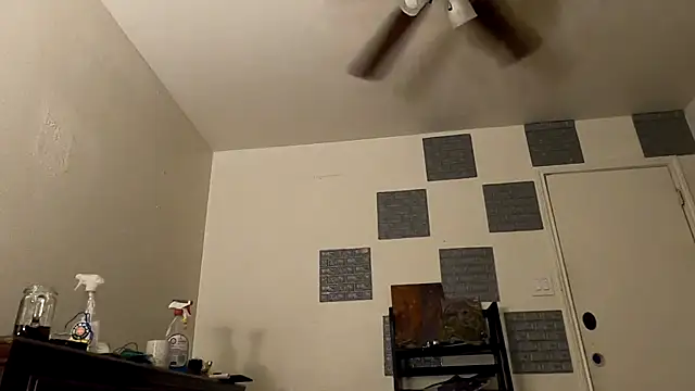 TheDaisyChaos online show from 03-14-25, 01:27