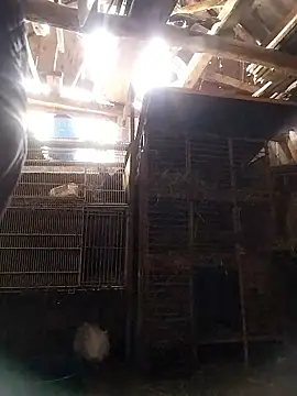 Snapshot of sarpe4 chatting on 01-10-26, 08:16 sarpe4 online show from 01-10-26, 08:16