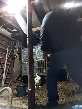 Snapshot of sarpe4 chatting on 02-19-26, 04:14 sarpe4 online show from 02-19-26, 04:14