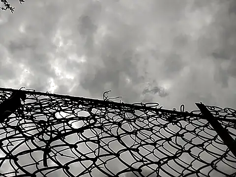 sarpe4 online show from 04-25-26, 11:24