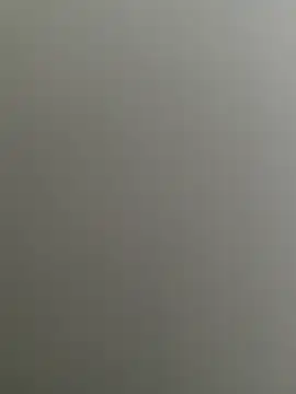 Bull8 online show from 02-26-25, 09:32