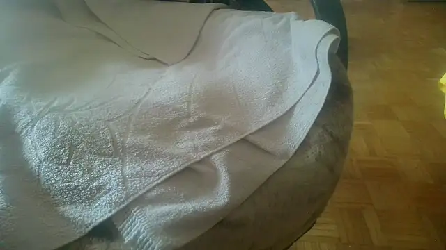 Snapshot of Python43 chatting on 02-20-25, 08:39 Python43 online show from 02-20-25, 08:39