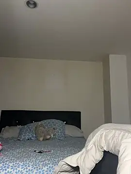 swrennn19 online show from 02-17-25, 10:47