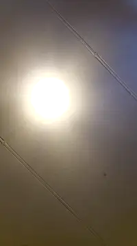 PinkTheHawk online show from 01-11-25, 10:07