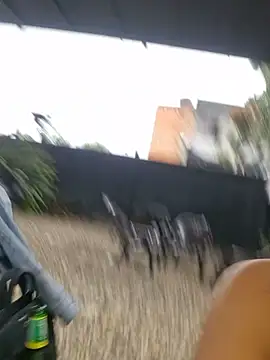 DAELAA online show from 03-08-25, 10:24