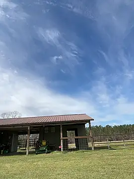 Sitonmyface2020xh online show from 03-03-25, 10:10