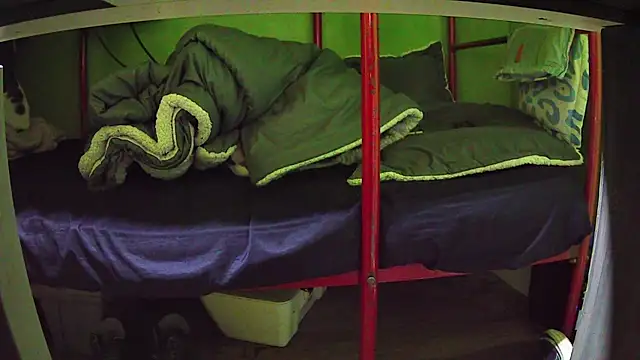 Walltaz online show from 03-24-26, 05:01