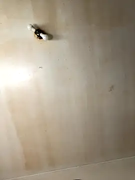 Tristris100 online show from 11-19-25, 03:56