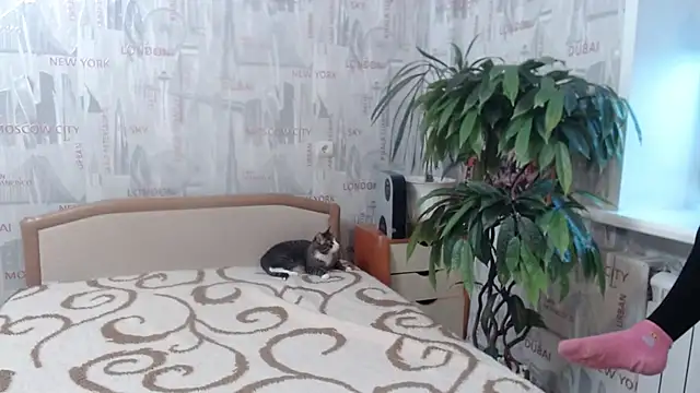 GinaQSoul online show from 02-20-26, 11:22