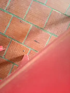 Brenda Berck  online show from 09-12-25, 02:06