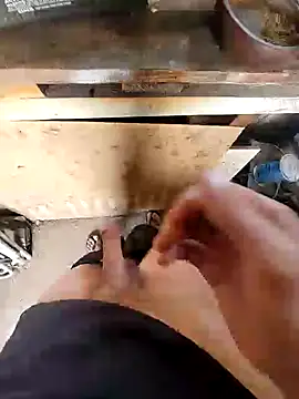 bighornycockup online show from 12-26-24, 11:35