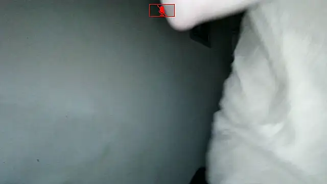 Ethangay online show from 11-02-25, 06:27