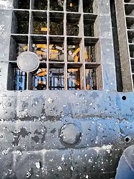 Ethangay online show from 03-31-26, 06:47