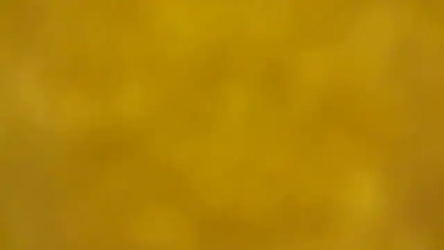 Snapshot of fmodel chatting on 12-16-25, 02:33 fmodel online show from 12-16-25, 02:33