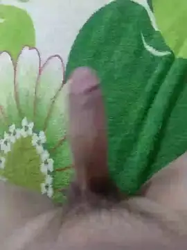 Snapshot of dickbastienweed chatting on 01-30-25, 08:42 dickbastienweed online show from 01-30-25, 08:42