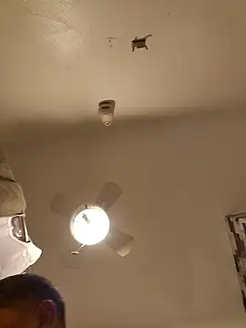 tropikboy online show from 01-12-26, 09:36