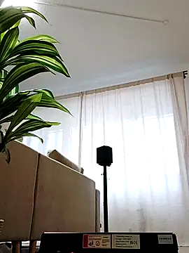 mister-dwt online show from 02-26-25, 06:47