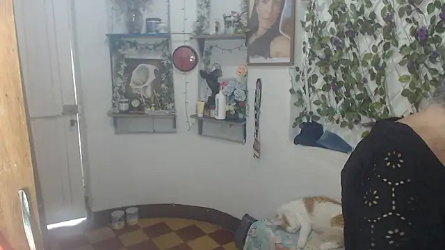 Snapshot of FunnyGrandma chatting on 07-12-26, 08:11 FunnyGrandma online show from 07-12-26, 08:11