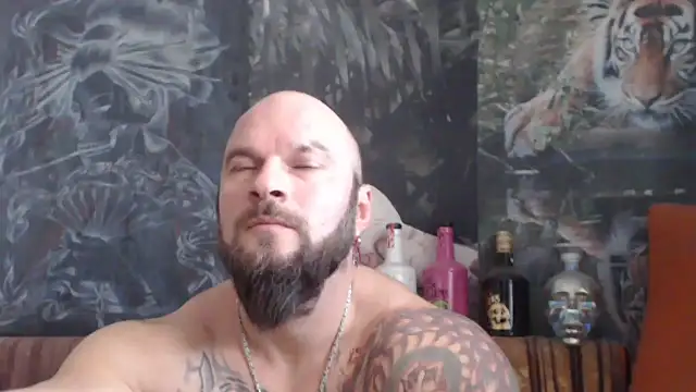 viking 30 online show from 11-26-25, 07:42