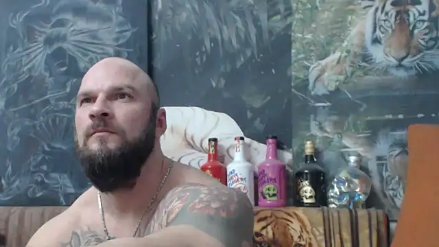 viking 30 online show from 12-04-25, 07:22