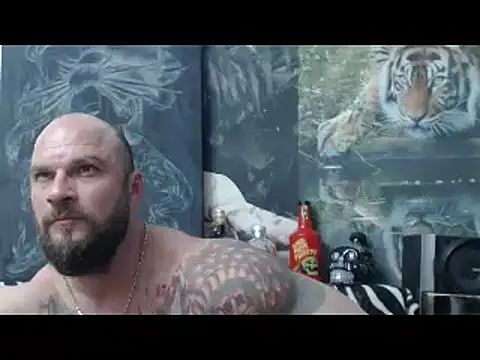 viking 30 online show from 04-17-26, 06:11