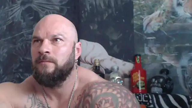 Snapshot of viking_30 chatting on 05-21-26, 06:42 viking 30 online show from 05-21-26, 06:42