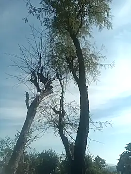 SunnyleoneBG online show from 12-15-24, 07:46