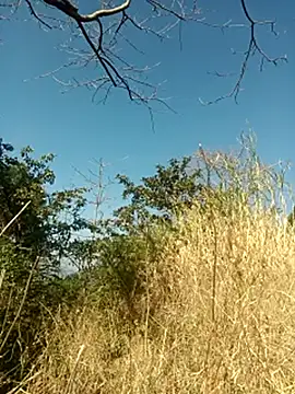 SunnyleoneBG online show from 02-06-25, 05:03