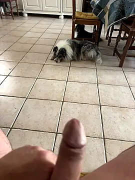 Loul41 online show from 11-02-25, 03:03