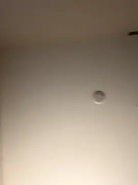 Snapshot of DancingLemonade chatting on 11-16-25, 11:49 DancingLemonade online show from 11-16-25, 11:49