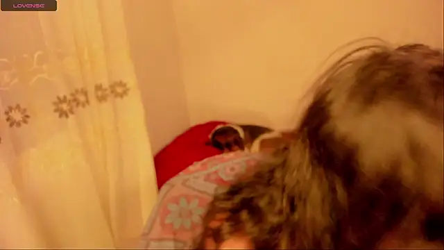 aluna 0310 online show from 01-16-25, 11:59