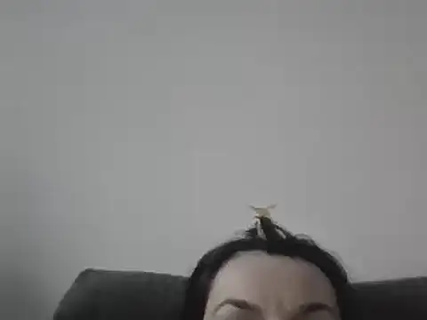 FallenDevil online show from 03-07-25, 04:00