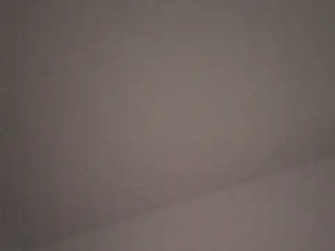 FallenDevil online show from 10-17-25, 06:43