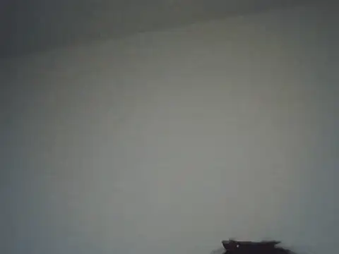 FallenDevil online show from 11-16-25, 08:14