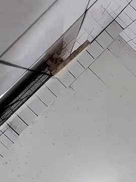 cindy01113520 online show from 10-02-25, 02:57