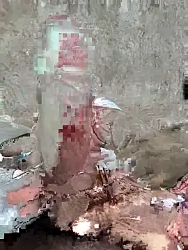 Tharki boys online show from 10-01-25, 11:05