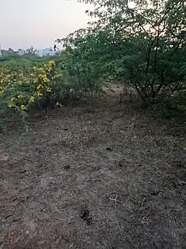 rameshmry1 online show from 03-05-26, 12:34