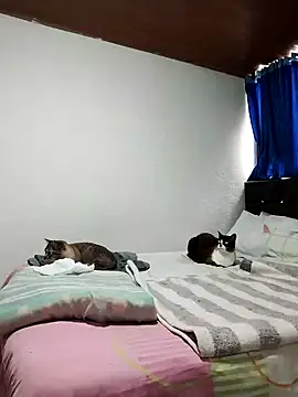 Vicky Rosse online show from 11-01-25, 05:37