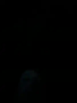 dropmoney online show from 12-01-25, 05:01