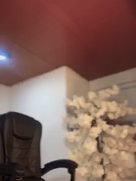 Ambar pe  online show from 11-10-25, 10:36