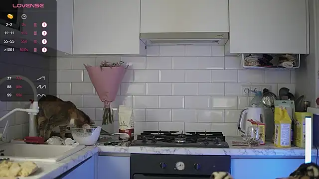 melanielwithu online show from 12-13-24, 09:41