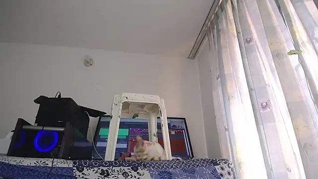 Snapshot of eolicasex chatting on 02-01-25, 07:44 eolicasex online show from 02-01-25, 07:44