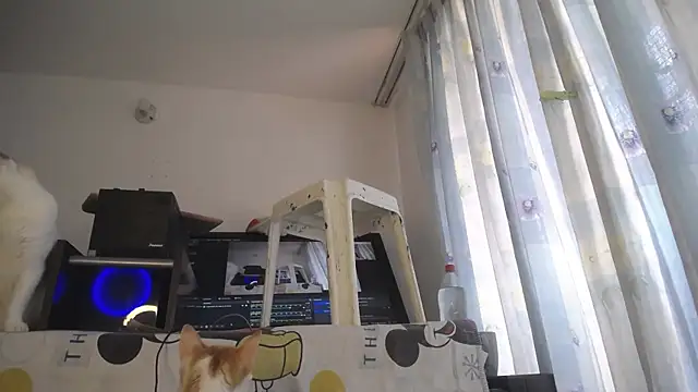 eolicasex online show from 04-04-26, 04:26