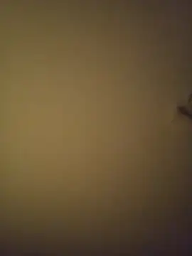 Snapshot of SMOKERBEASTBR chatting on 02-08-26, 06:17 SMOKERBEASTBR online show from 02-08-26, 06:17